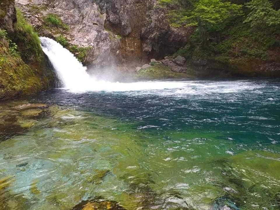 Casa de hóspedes Bujtina 2 *