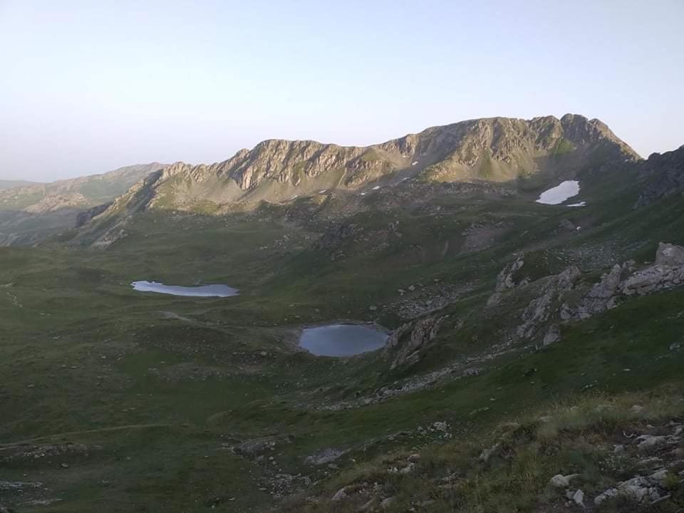 Bujtina 2 *
